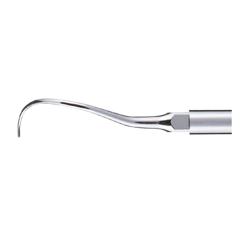 denta-tec-120260711140224833318