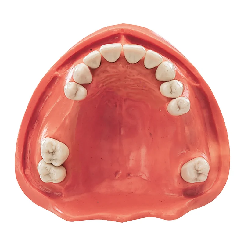 denta-tec-120260711142309834871