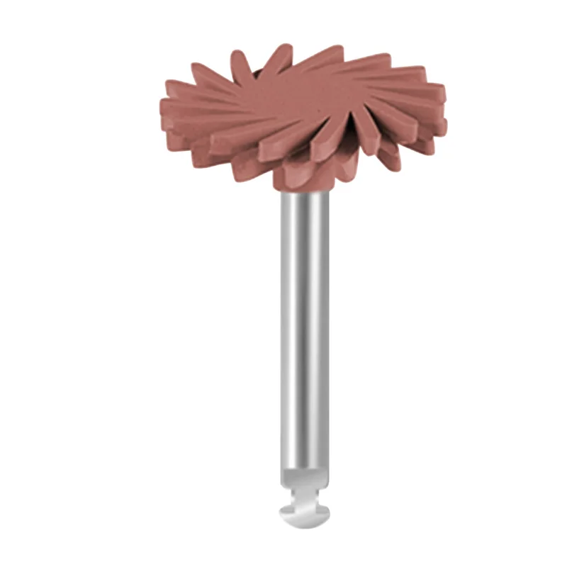 denta-tec-120260711235148884923