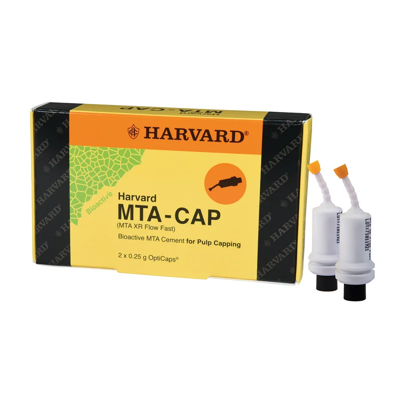 denta-tec-120260712024056898696