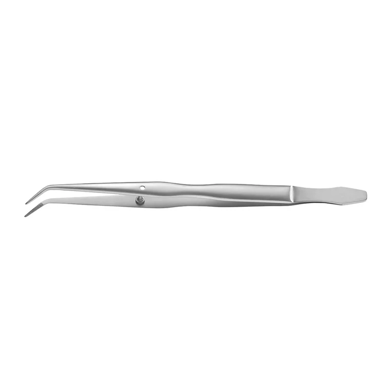 denta-tec-120260712025728900012