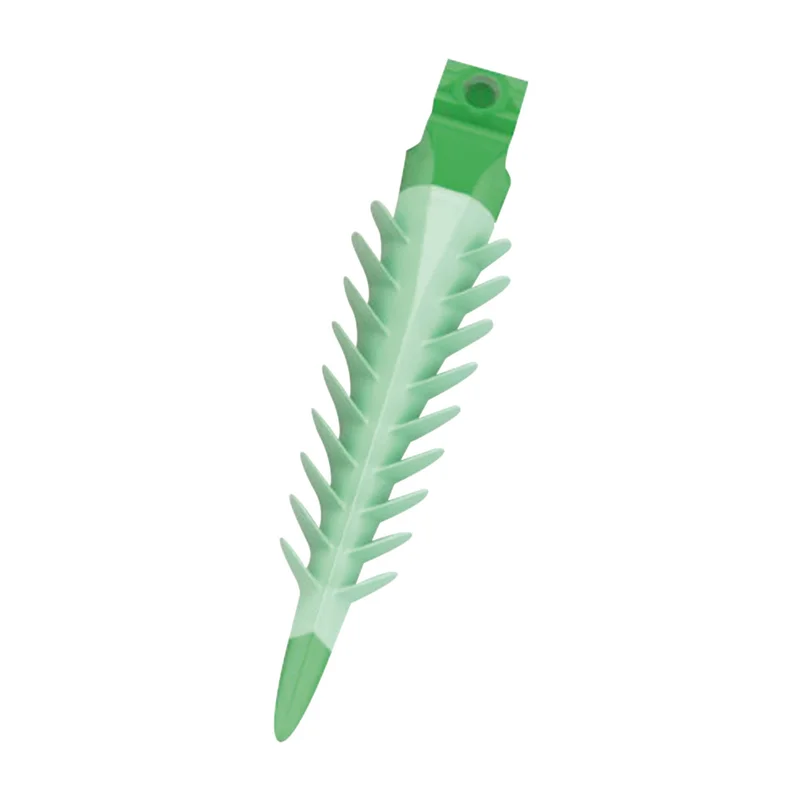 denta-tec-120260712062401918973