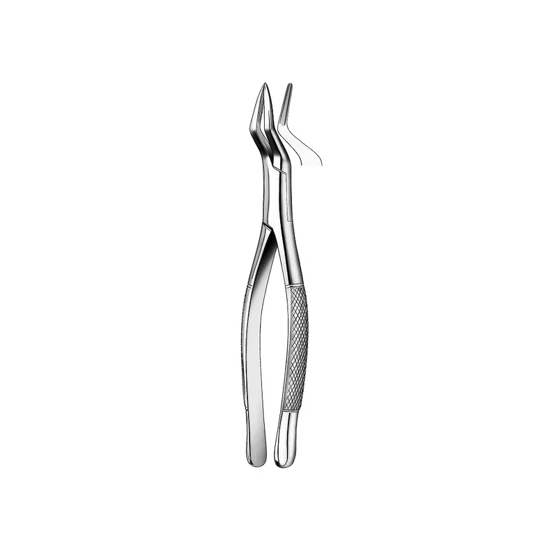 denta-tec-120260712082659934036