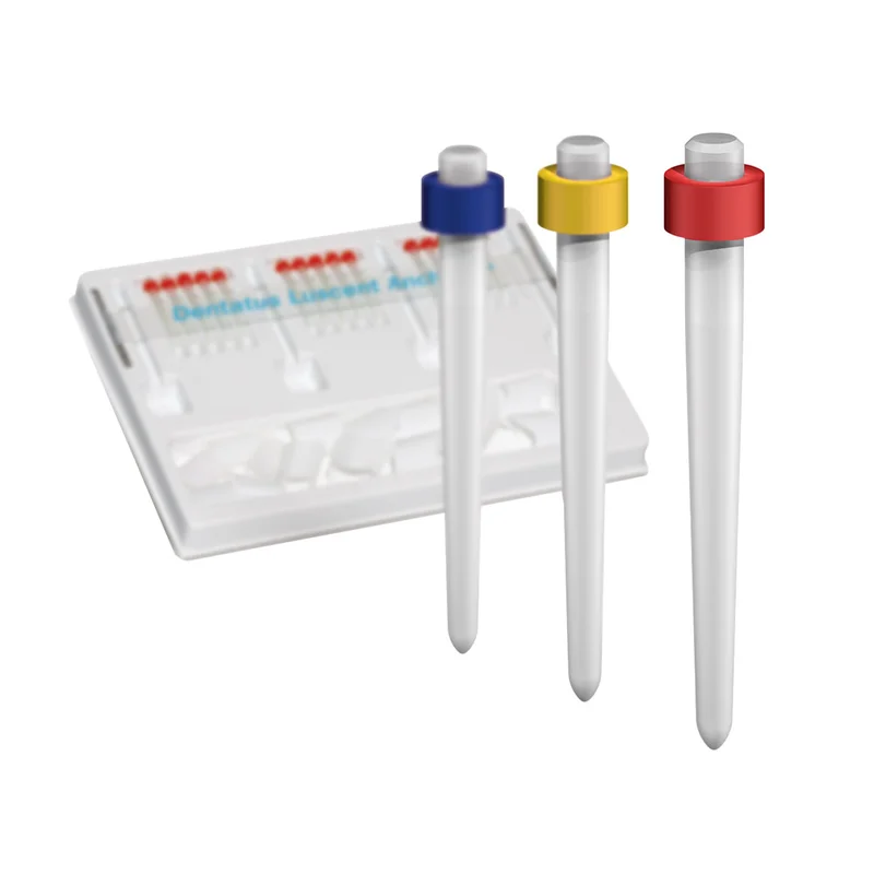 denta-tec-120260712094402941902