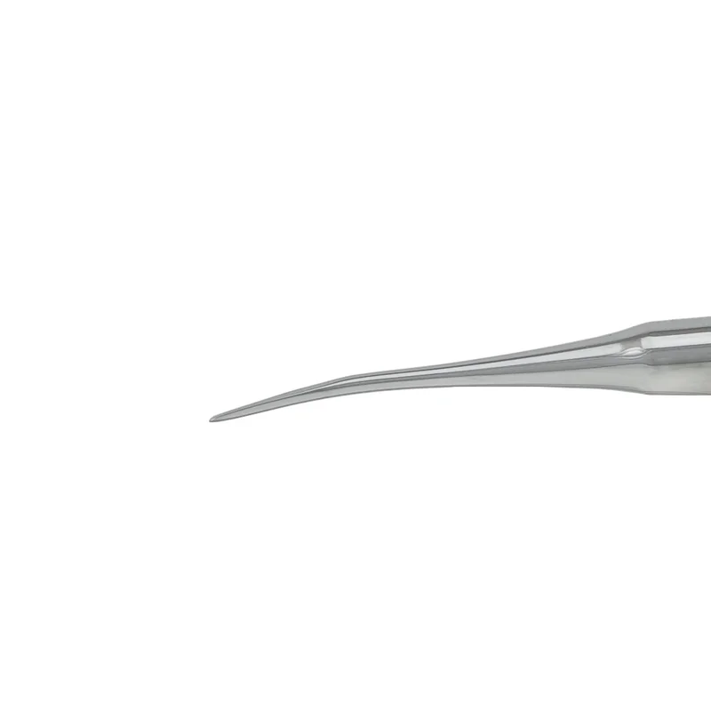 denta-tec-120260712101647945582