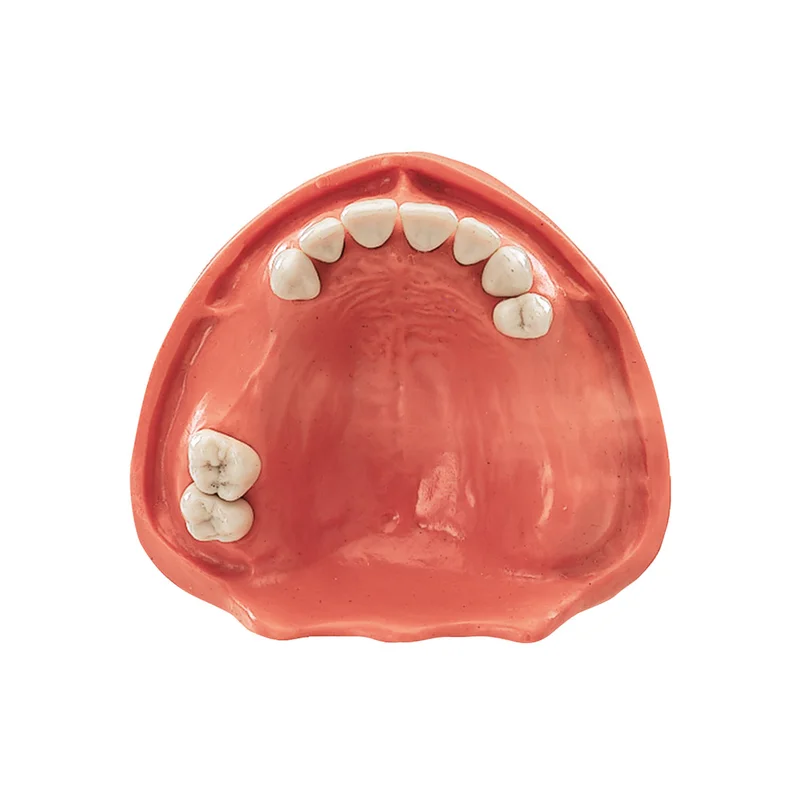 denta-tec-120260712130843964405