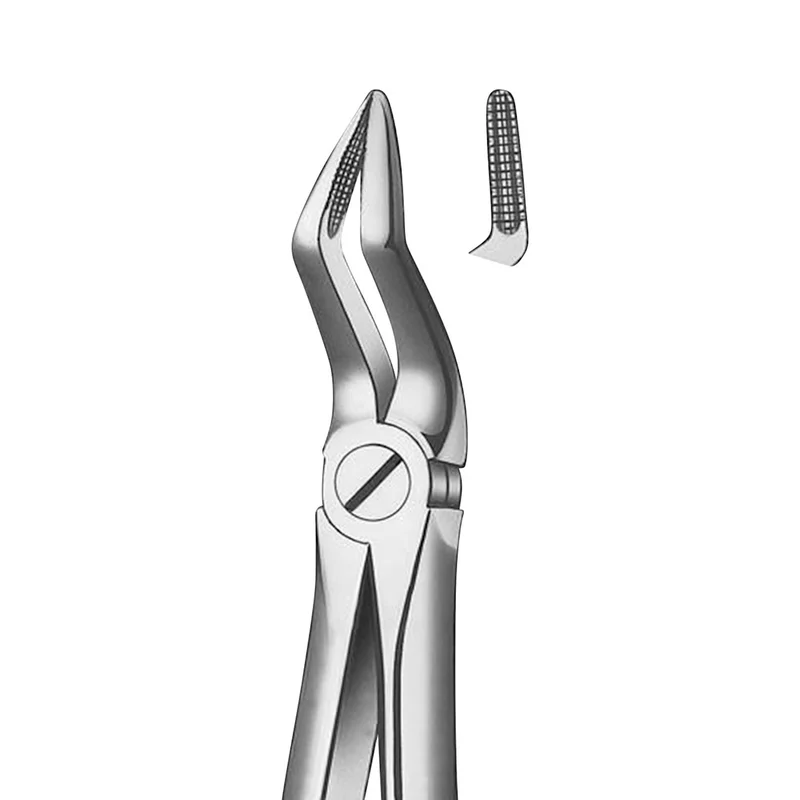 denta-tec-120260712141814972072