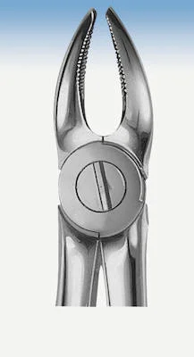 denta-tec-120260712185702999775