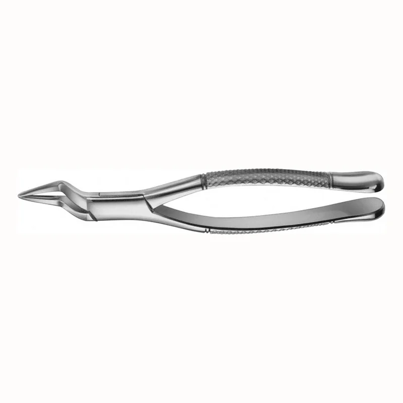 denta-tec-1202607121923281002587