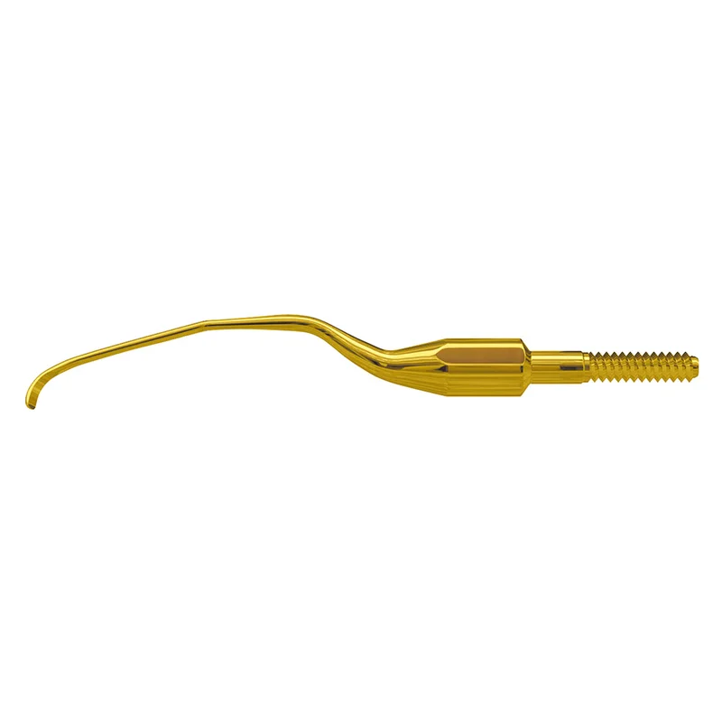 denta-tec-1202607121949511005333