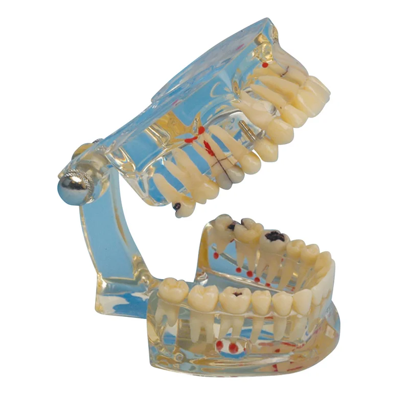 denta-tec-1202607122004561006972