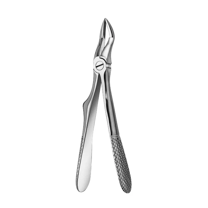 denta-tec-1202607122112061014601