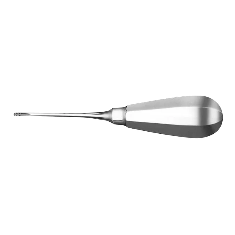 denta-tec-1202607122149031018505