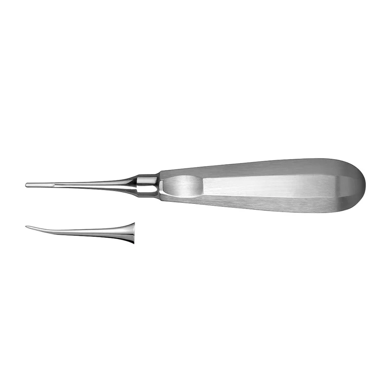 denta-tec-1202607122154211019129