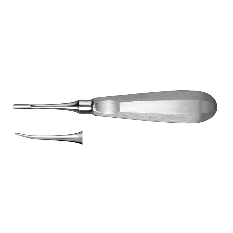 denta-tec-1202607122155141019239