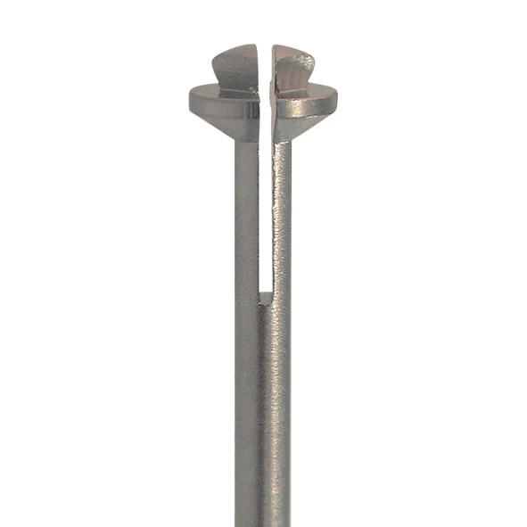 denta-tec-1202607122156211019389