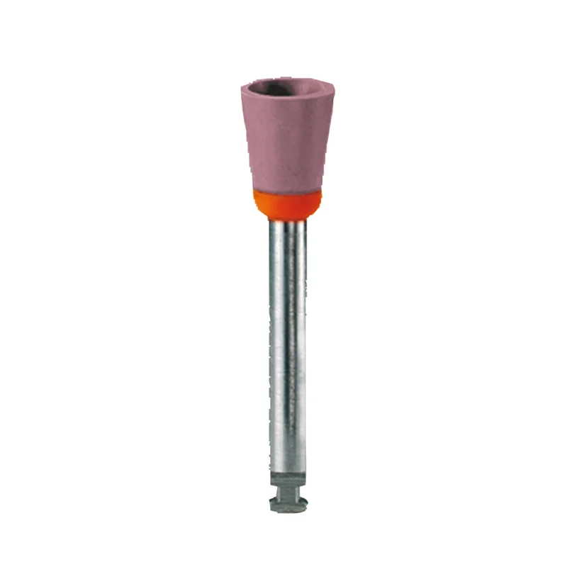 denta-tec-1202607122212181021232