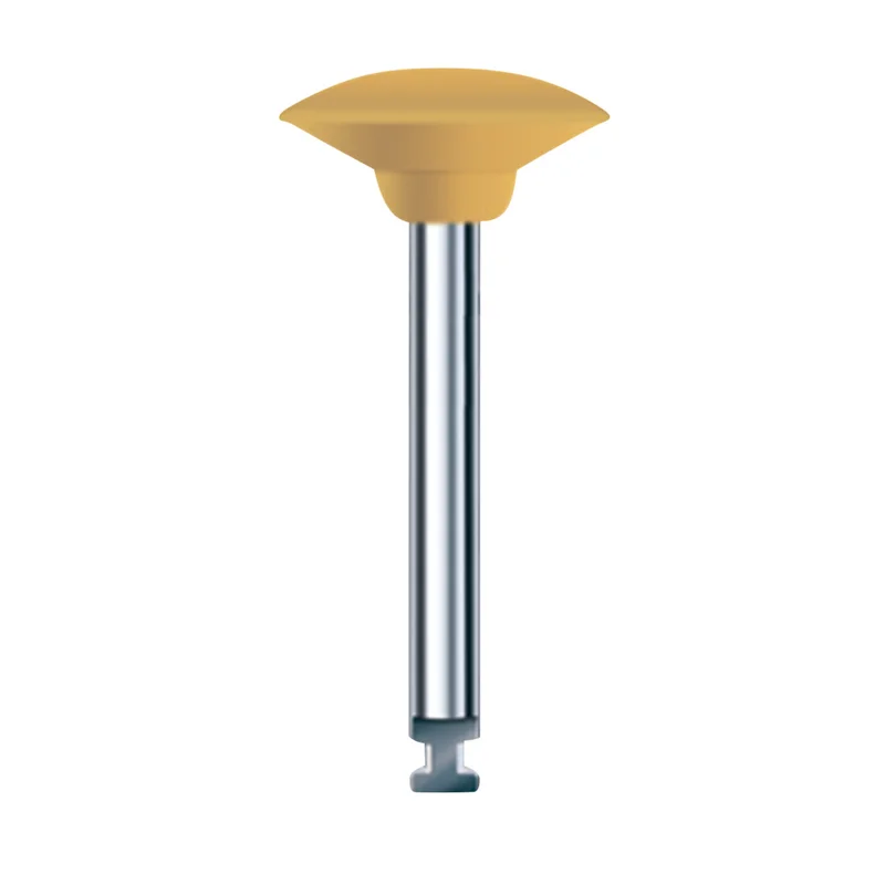 denta-tec-1202607122220321022218
