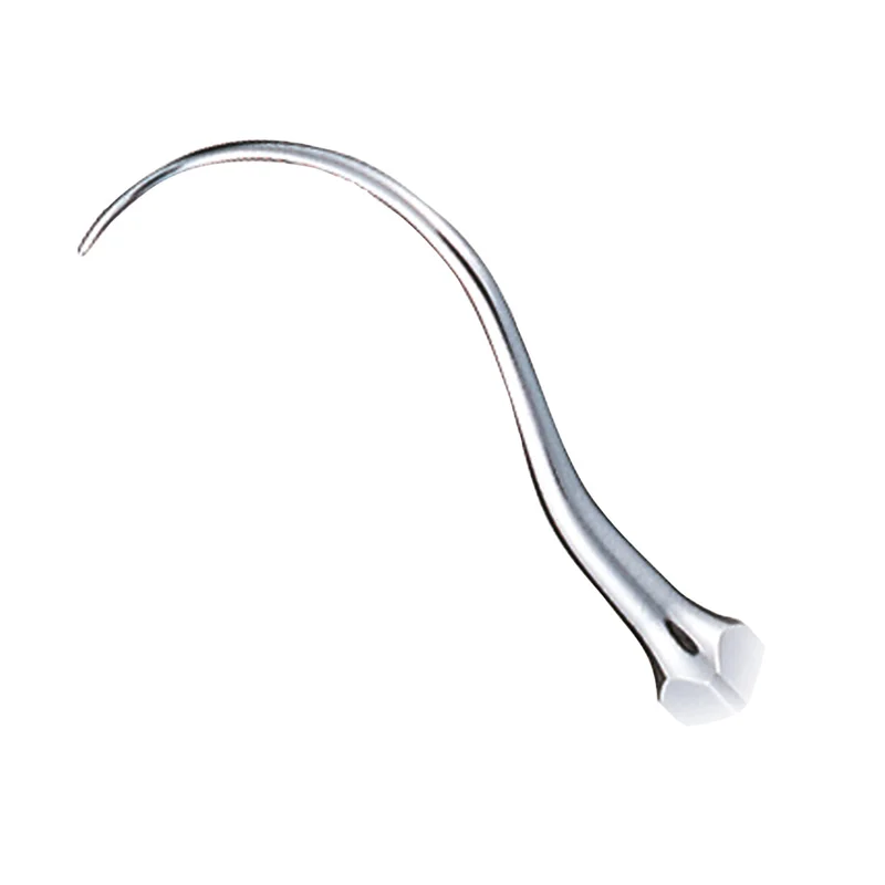 denta-tec-1202607122220541022258