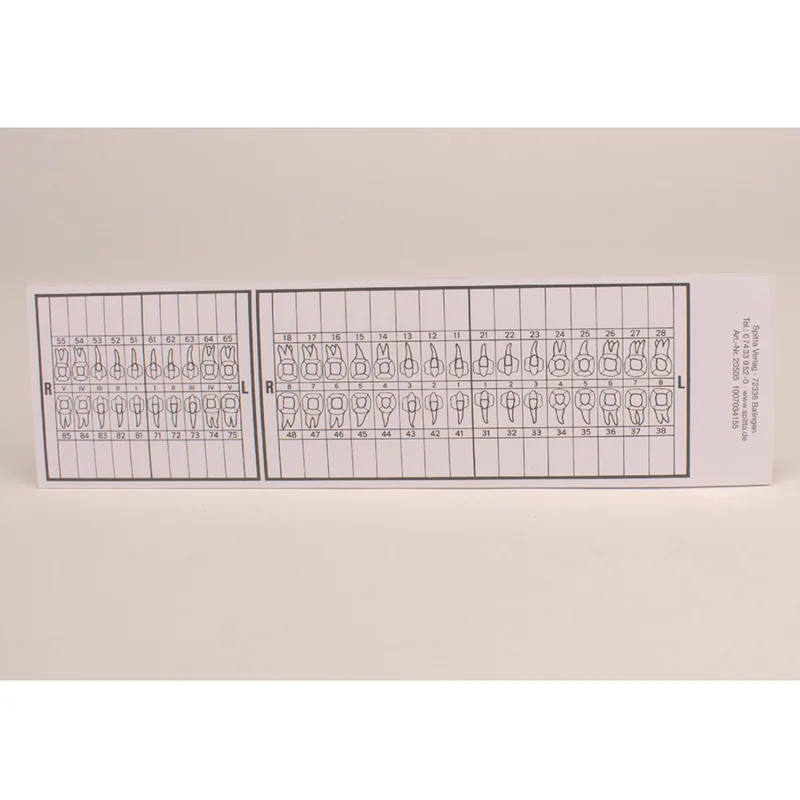 denta-tec-1202607122256051026240