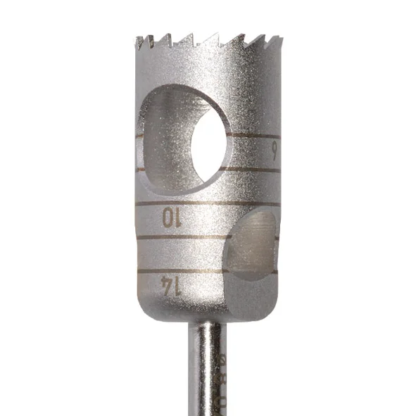 denta-tec-1202607122307061027383