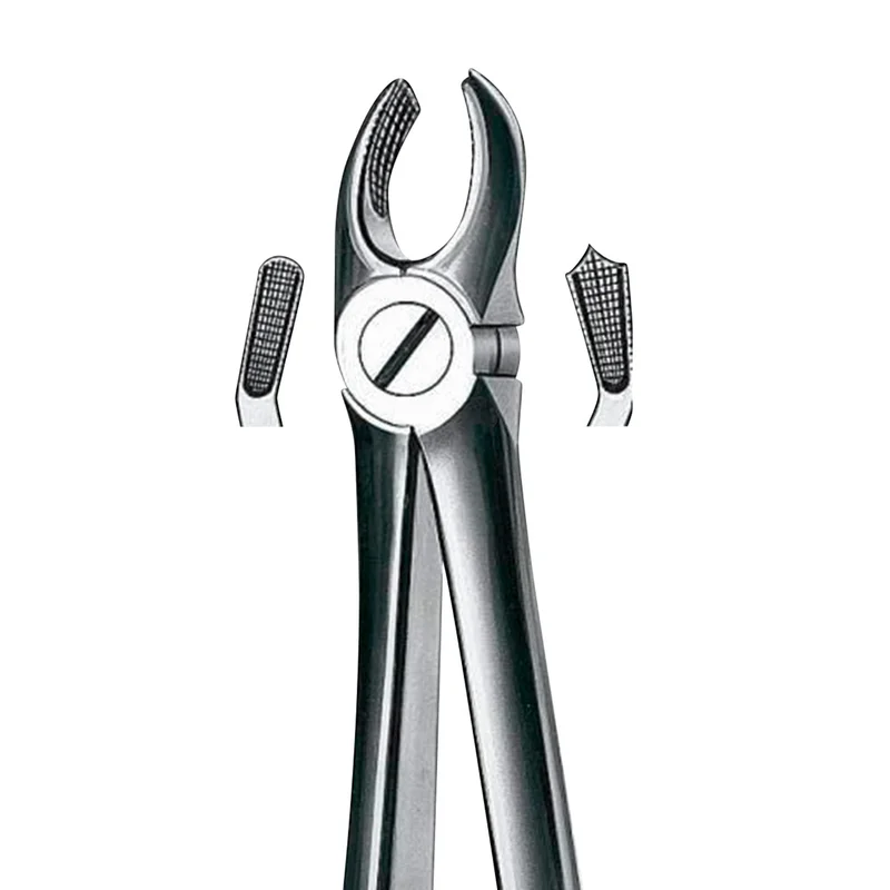 denta-tec-1202607122358531033230