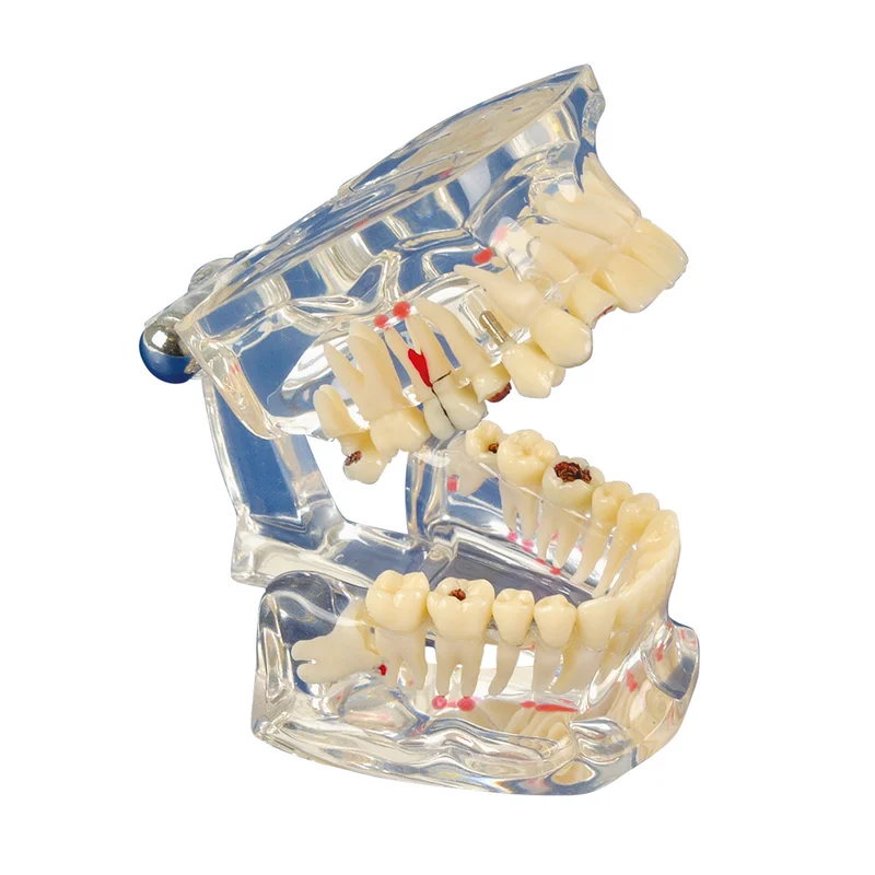 denta-tec-1202607130001541033521