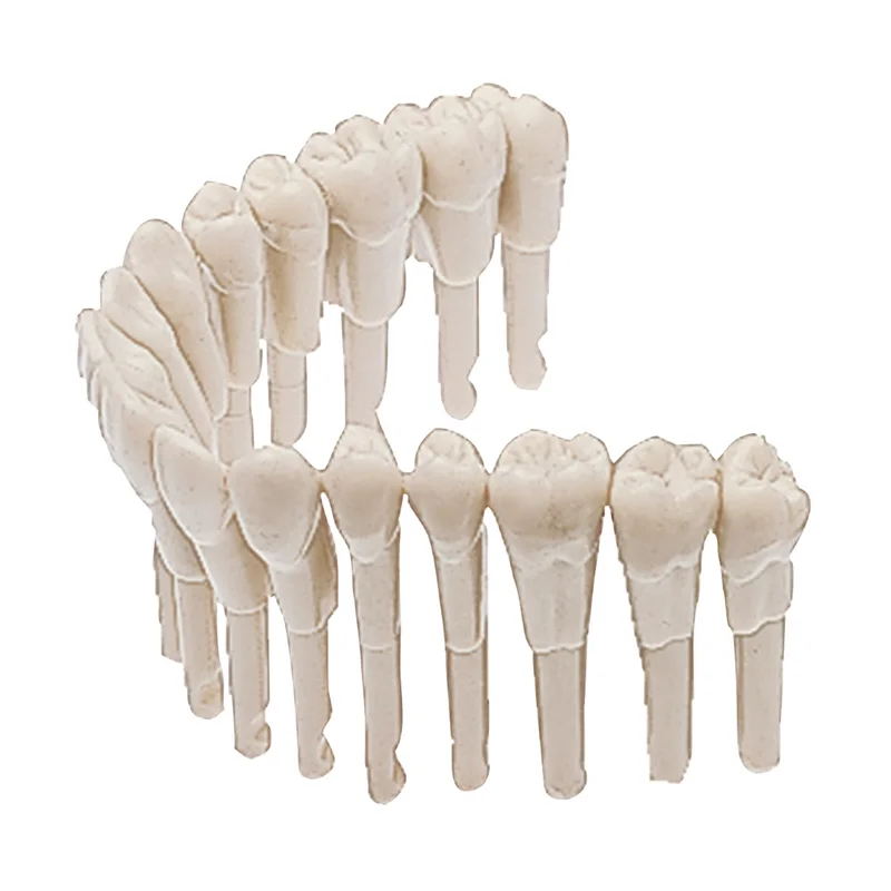 denta-tec-1202607130101361039230