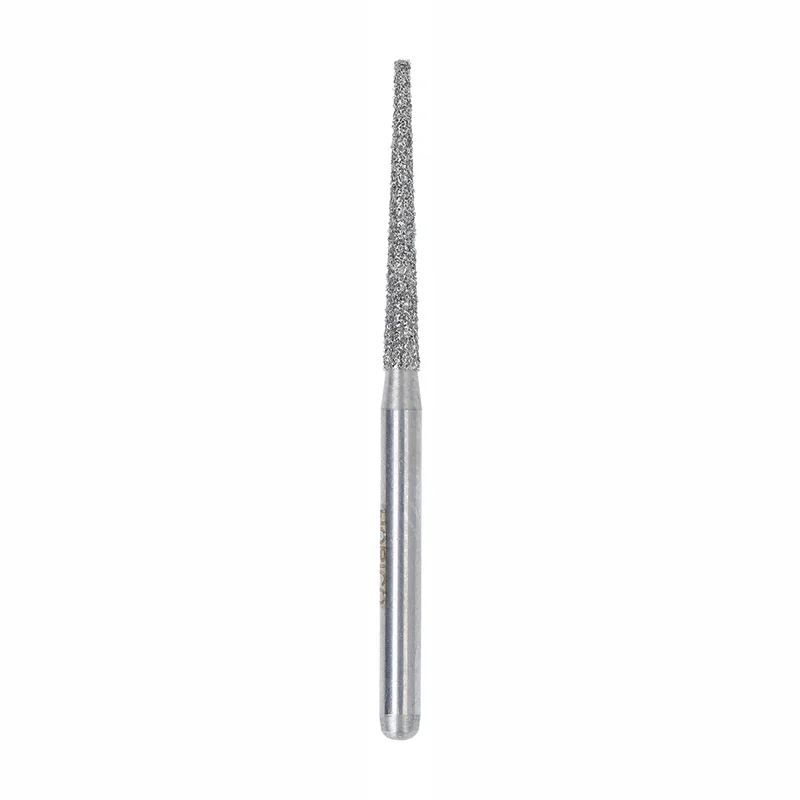 denta-tec-1202607130125011041658