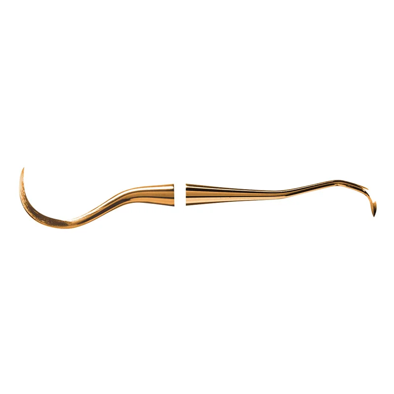 denta-tec-1202607130147301043605