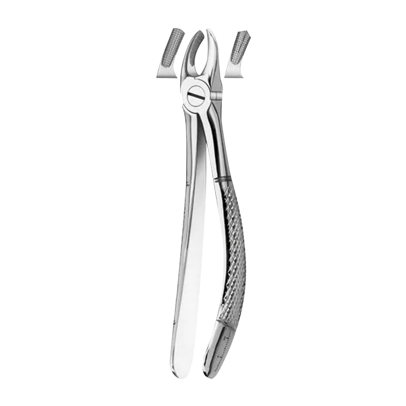denta-tec-1202607130219461045890