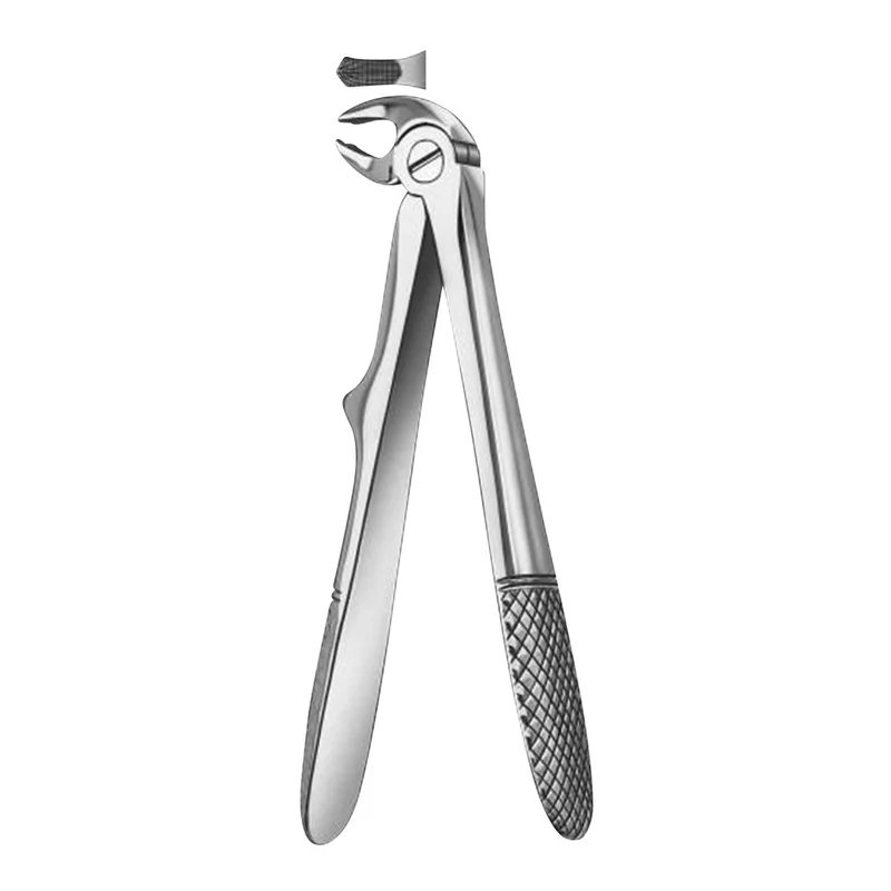 denta-tec-1202607130221441046020