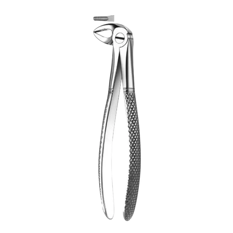 denta-tec-1202607130222101046045