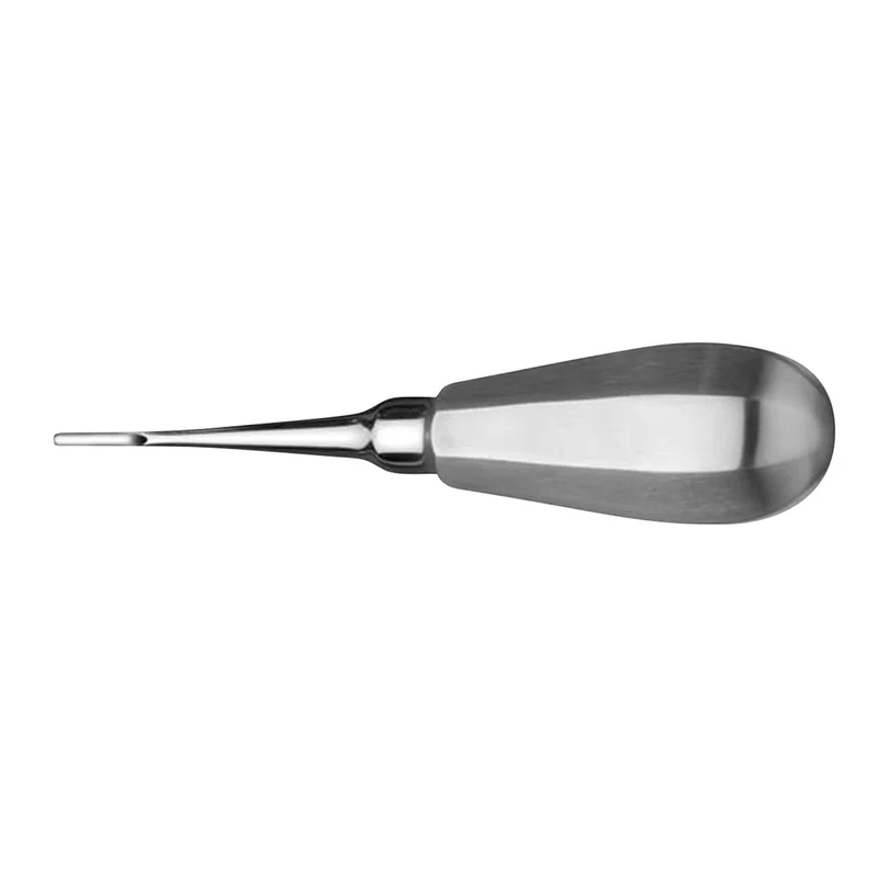 denta-tec-1202607130225091046237