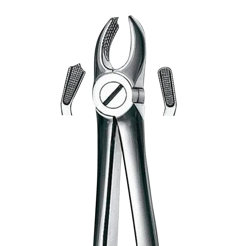 denta-tec-1202607130231441046688