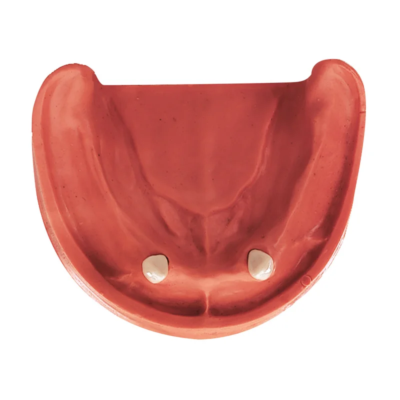 denta-tec-220260710201251679760