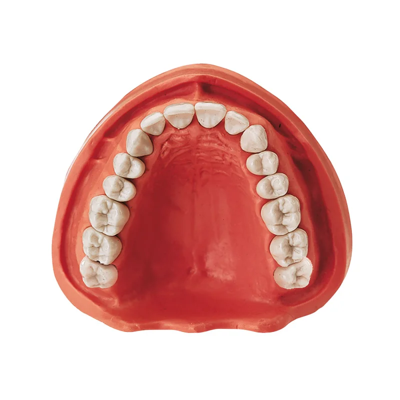 denta-tec-220260710201315679835