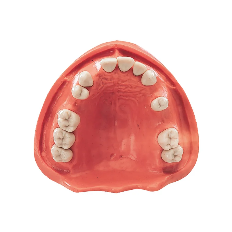 denta-tec-220260710201317679841