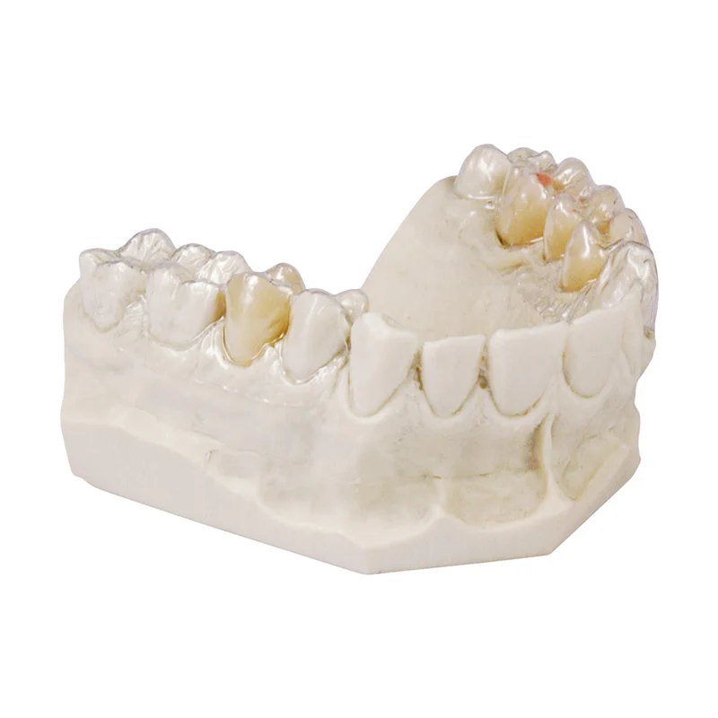 denta-tec-220260710204109685164