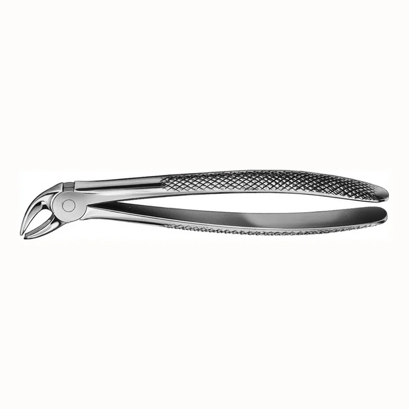 denta-tec-220260710224954707177