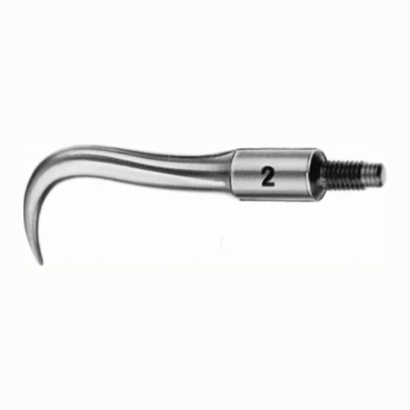 denta-tec-220260710225247707683