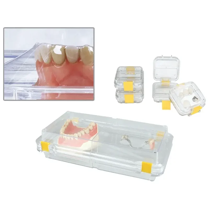 denta-tec-220260711002037722853