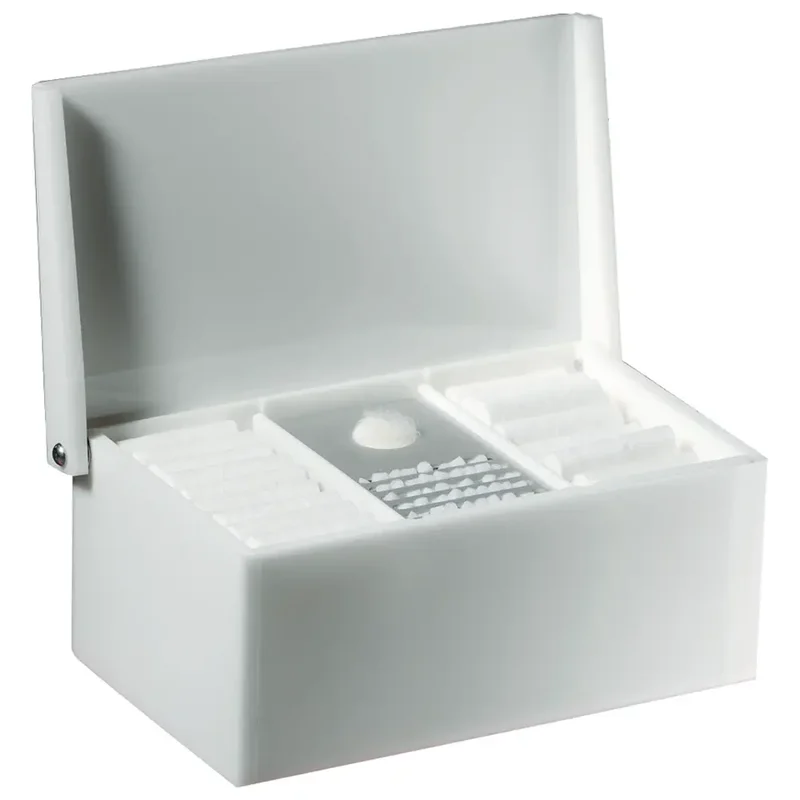 denta-tec-220260711005658728972