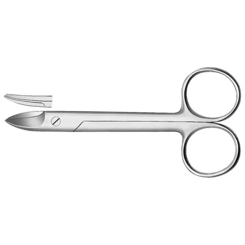 denta-tec-220260711011802732772
