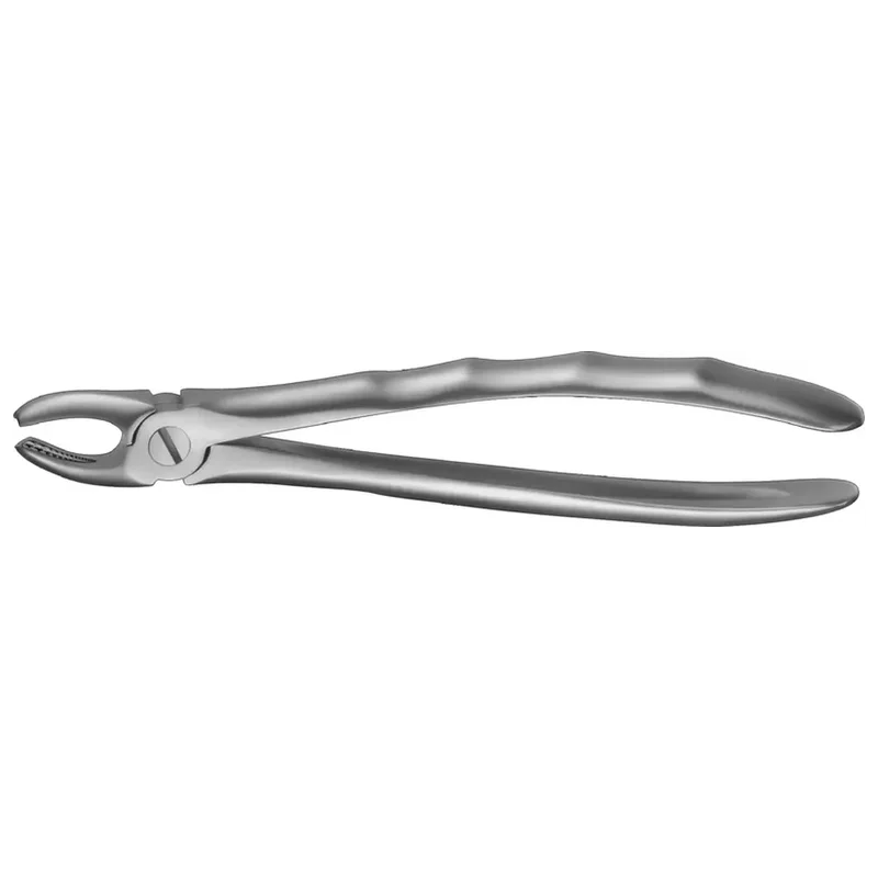 denta-tec-220260711020150739781