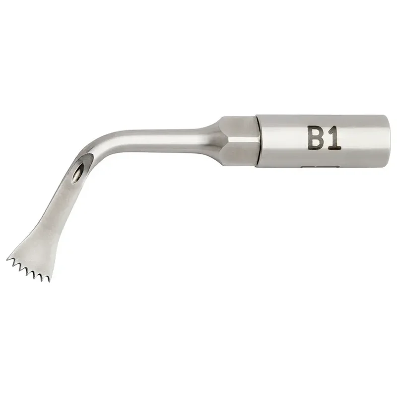 denta-tec-220260711032404748851