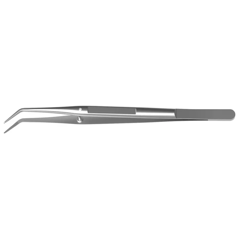 denta-tec-220260711033315749959