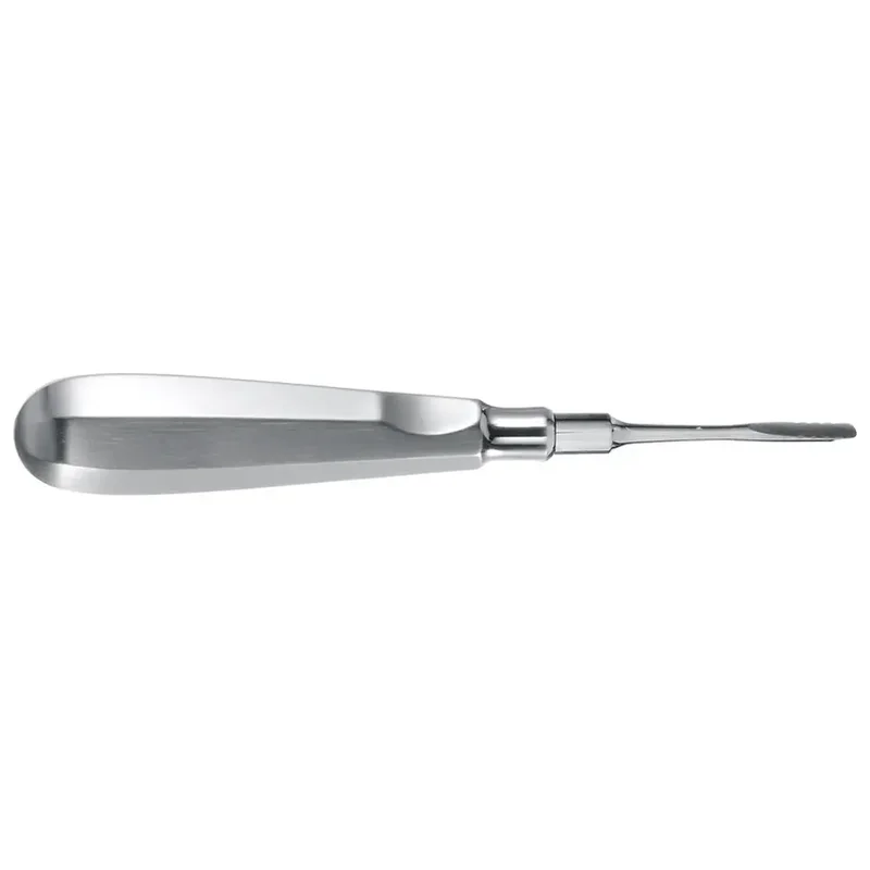 denta-tec-220260711044658761733