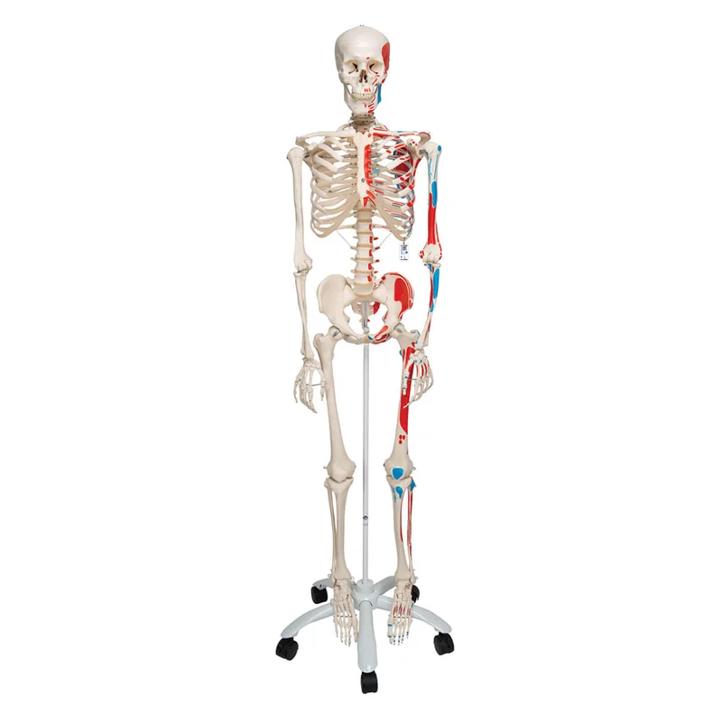 doccheckshop20260710175904650836