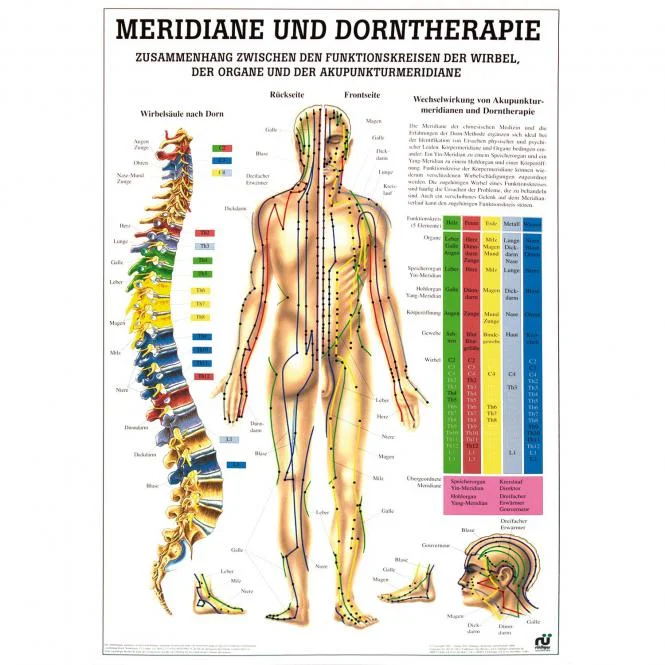 doccheckshop20260710180117651321